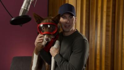 Behold, A Documentary About Some Very Good Dogs Narrated By Chris Evans