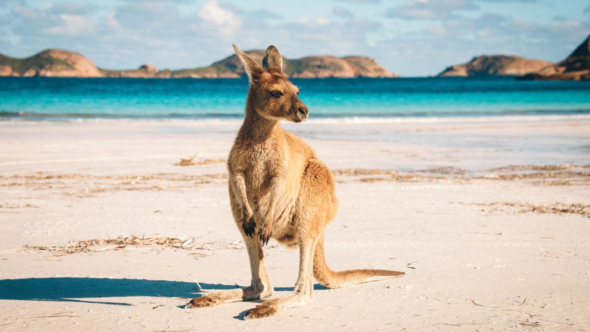 Australia Has Been Named The Most Instagrammable Country In The World