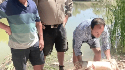 And Here’s NSW MP Jeremy Buckingham Chundering After Cradling A Rotten Fish