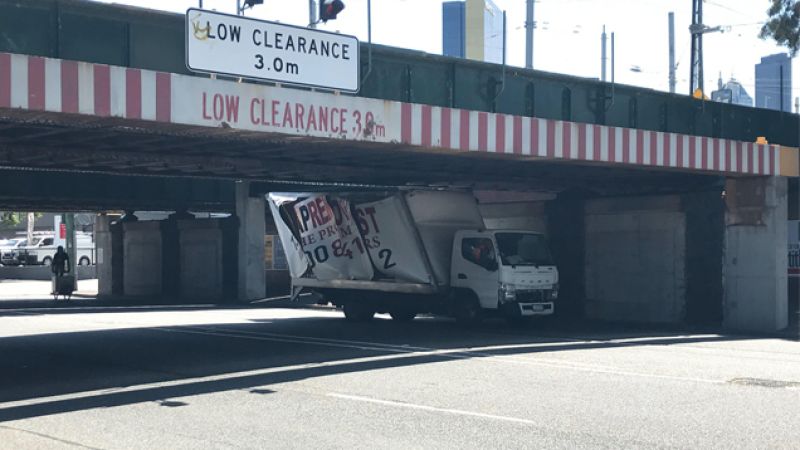 All Hail The Montague St Bridge, Which Has Returned To Feed After 224 Days