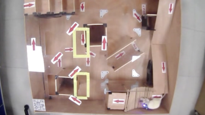 Researchers Successfully Use Thoughts To Steer Cyborg Rats Through Maze