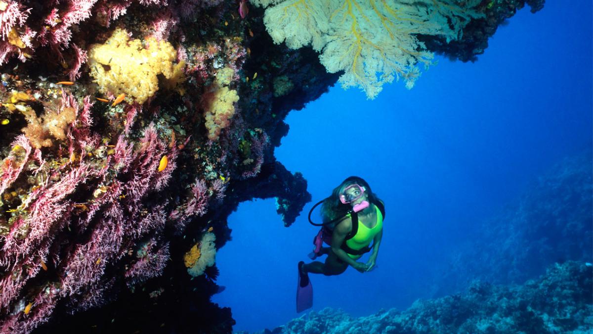 Best Spots For Diving In Queensland