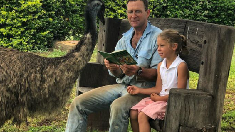 A Wild Emu Has Decided To Adopt Itself Into A QLD Family, Which Seems Normal