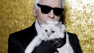 Karl Lagerfeld Fans Are Worried For Choupette, His Precious Birman Kitty