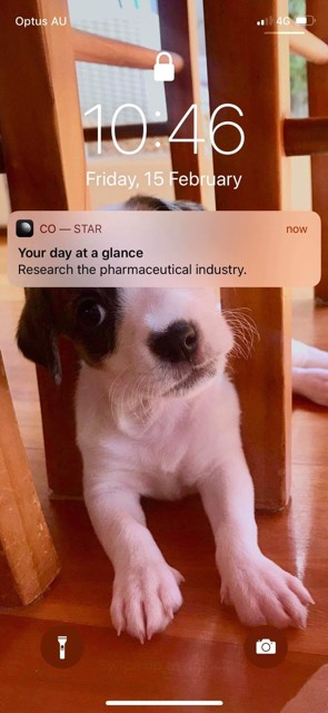 What The Fuck Is Going On With Astrology App Co-Star At The Moment?