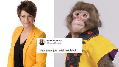 Journos Everywhere Are Getting Rinsed By This Picture Of A Monkey