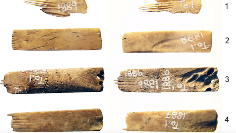 Researchers Identify Tools In World’s Oldest Tattooing Kit As Human Bones