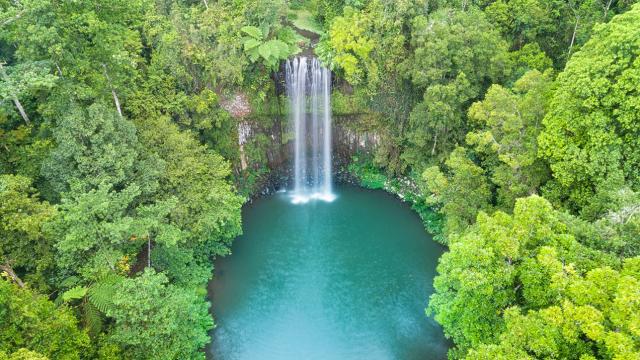 Where To Stop On A Road Trip Through The Atherton Tablelands