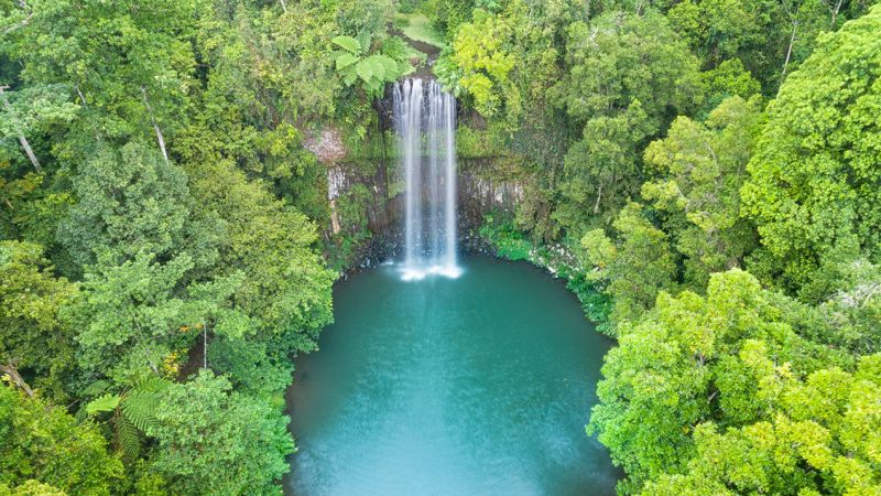 You Absolutely Must Make A Pit Stop At These Places In The Atherton Tablelands