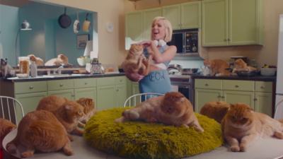 Carly Rae Jepsen Slowly Acquires Cats In The Video For Her Hot New Banger