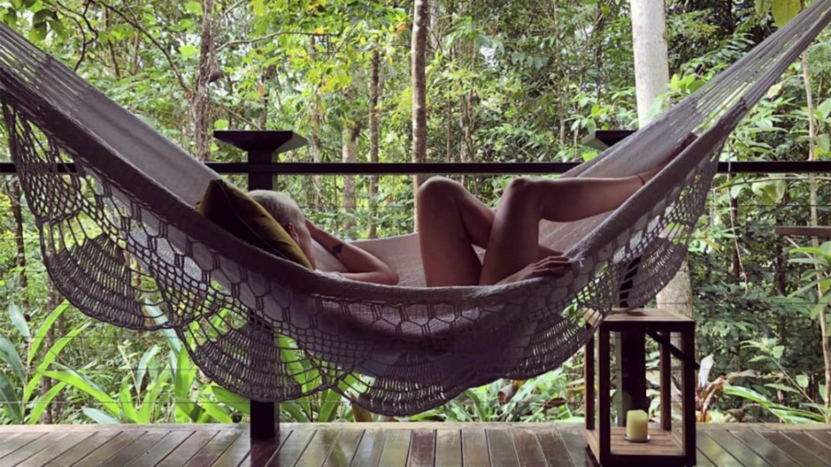 4 Lush Hotels In The Middle Of The Daintree Rainforest