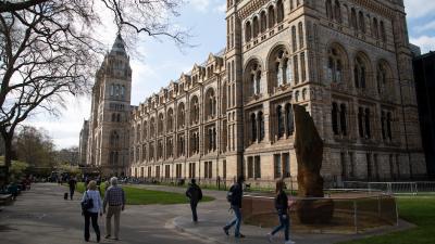 London’s Natural History Museum Returns Indigenous Remains To Rightful Home