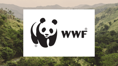 The WWF Has Been Accused Of Funding Guards Who Torture & Kill People