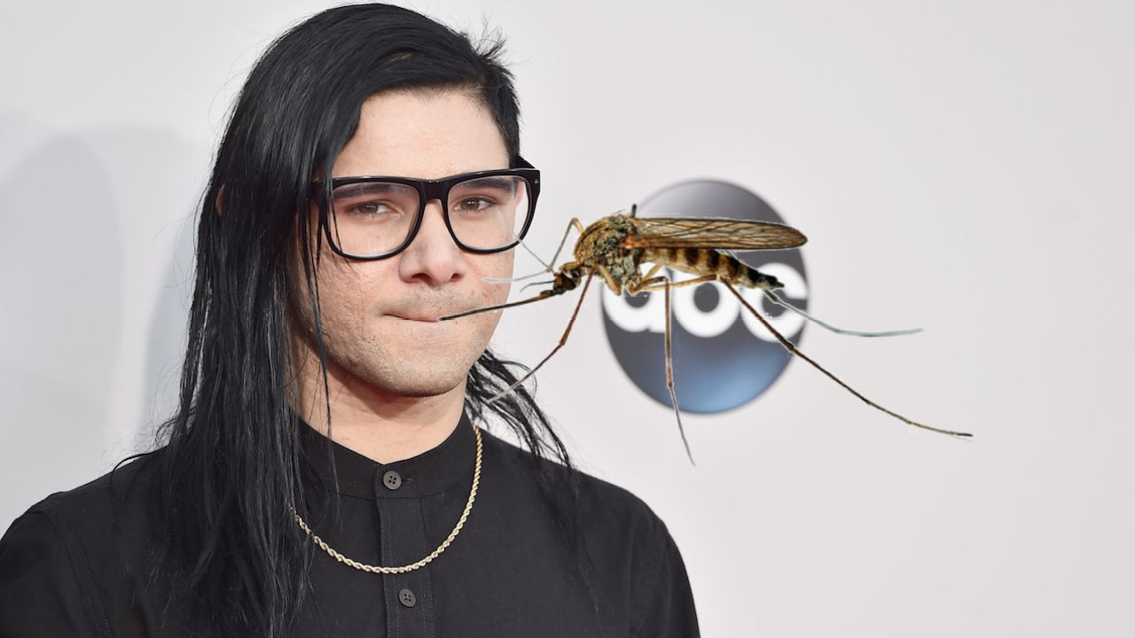 Study Legitimately Finds That Playing Skrillex Will Repel Mosquitos