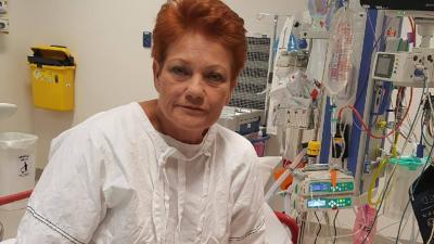 Pauline Had Her Appendix Removed, Which Is Hopefully Where She Stores Her Racism