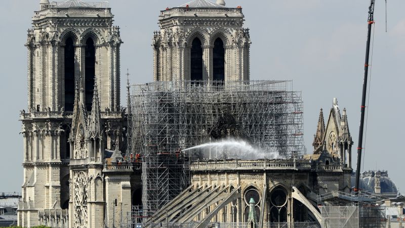 Apparently There Were 150,000 Bees On The Roof Of Notre Dame?