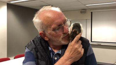 Aww, NSW Police Reunite Homeless Man With His Beloved Pet Rat