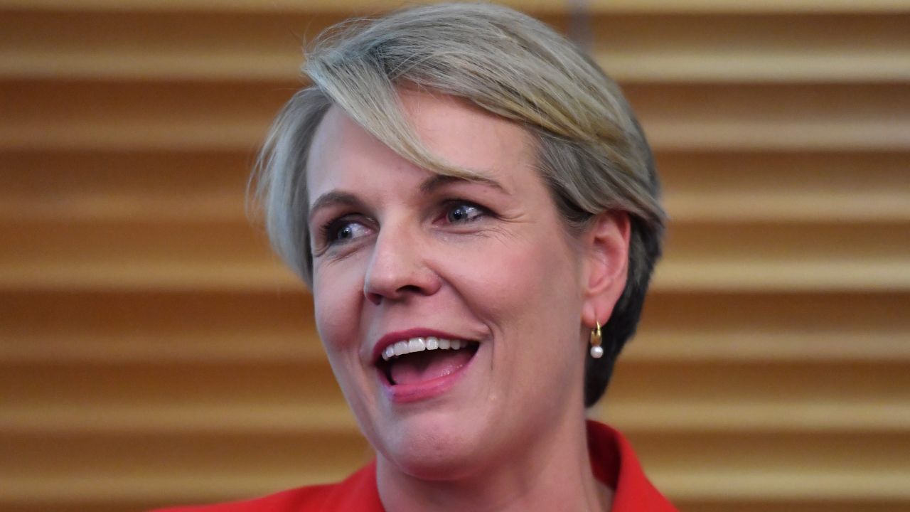 Tanya Plibersek Announces She Won’t Be Running For Labor Party Leadership