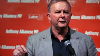 Anthony Albanese Has Officially Put His Hand Up For The Labor Leadership 