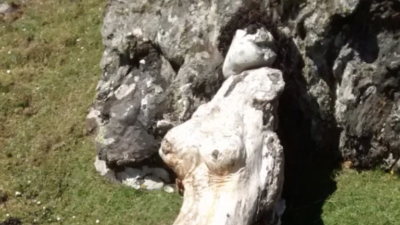 Horny Freaks Are Hiking A Scottish Island To See Driftwood Shaped Like A Naked Lady