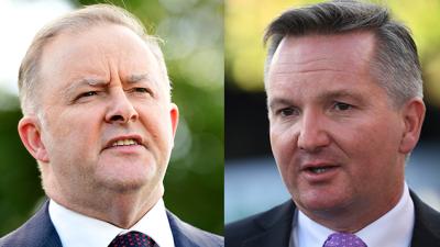 Albo Likely To Take Labor Leadership Unopposed After Chris Bowen Withdraws