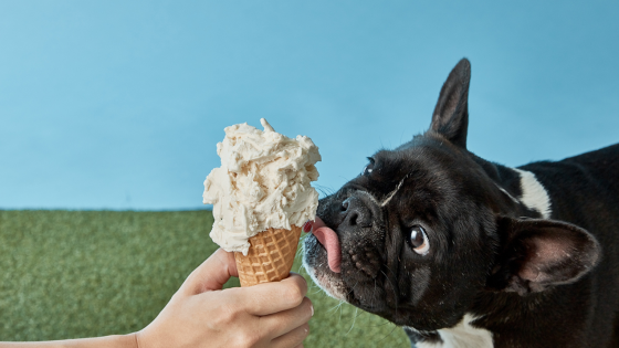 A New Gelato Flav You Can Share With Yr Pup Will Hit Stores Tomorrow
