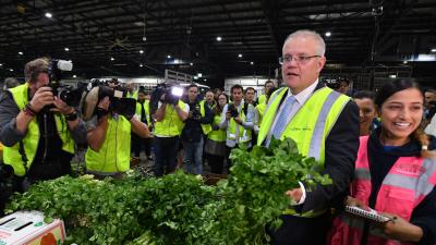 Scott Morrison Confirms Love For Coriander, Plunging Election Into Chaos