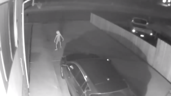 The Woman Whose CCTV Captured A Goblin Insists It’s Not Her Son Being Weird