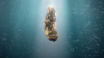 You Can Win A Golden Poo Worth $5K Just By Answering Qs For Bowel Cancer Awareness Month