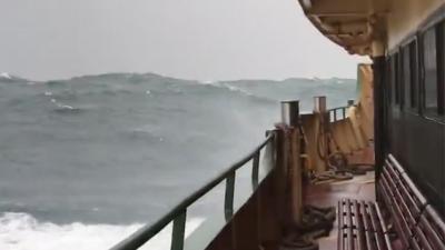 Sydney Ferries Are Being Cancelled Due To Huge ‘Point Break’-Like Swells