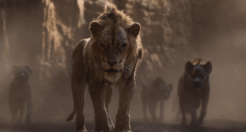 5 Very Rational Reasons To See ‘The Lion King’ & Yes, Zaddy Simba’s A Given