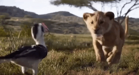 5 Very Rational Reasons To See ‘The Lion King’ & Yes, Zaddy Simba’s A Given