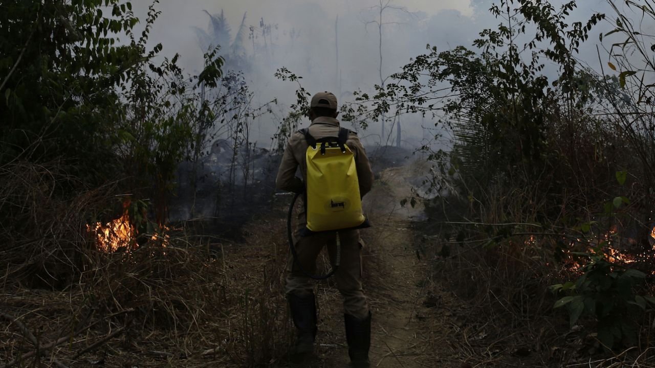 Wealthy Nations Are Being Slammed For Donating ‘Just’ $29M To Stop Amazon Fires