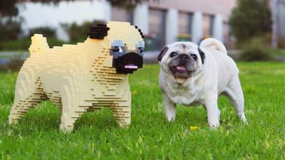 LEGOLAND Melbourne Wants To Turn Your Dog Into A Cursed Brick Statue