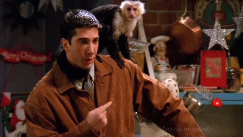 That ‘Friends’ Monkey Is Still Acting And It’s Still Way More Successful Than I’ll Ever Be