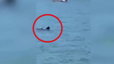 We Have Our Very Own Nessie And It’s Apparently Lurking In NSW’s Hawkesbury River