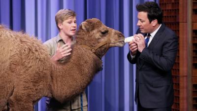PETA Calls For Dept Of Health To Investigate ‘The Tonight Show’ After Bob Irwin Segment