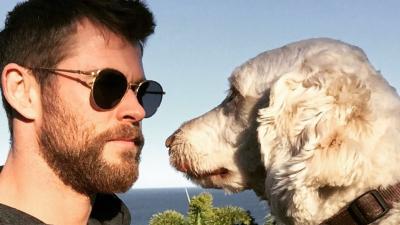 Chris Hemsworth’s Very Good Dog Sunny Has Been Found Safe And Sound