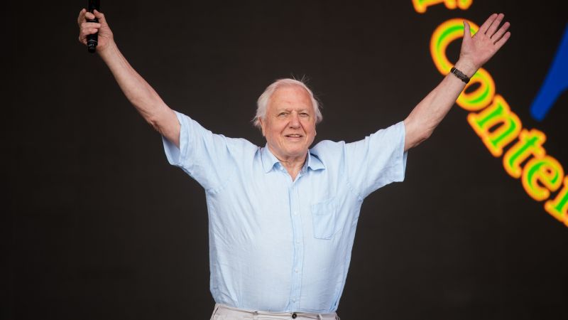 David Attenborough Honoured With Lifetime Achievement Award About 20 Years Too Late