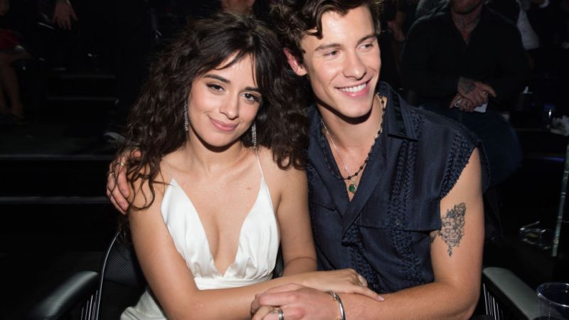 Camila Cabello & Shawn Mendes Apparently Under Attack As Rapper Drops Racism Accusation