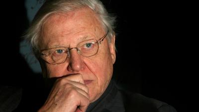 David Attenborough Gives Scott Morrison A Thorough Rinsing Over Climate Change Inaction