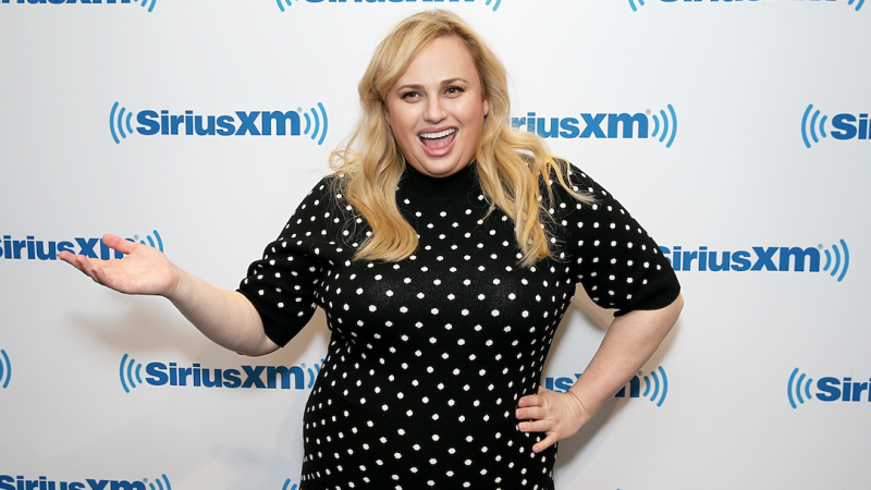 Someone Has Convinced Rebel Wilson To Host Seven’s New Dog Styling Show ‘Pooch Perfect’