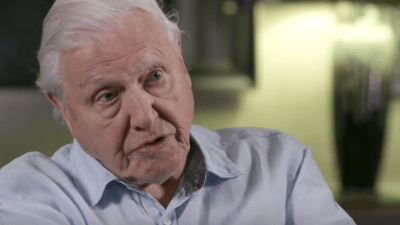 David Attenborough Reckons Climate Striking Kids Are A Force To Be Reckoned With