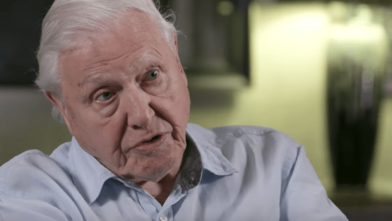 David Attenborough Reckons Climate Striking Kids Are A Force To Be Reckoned With