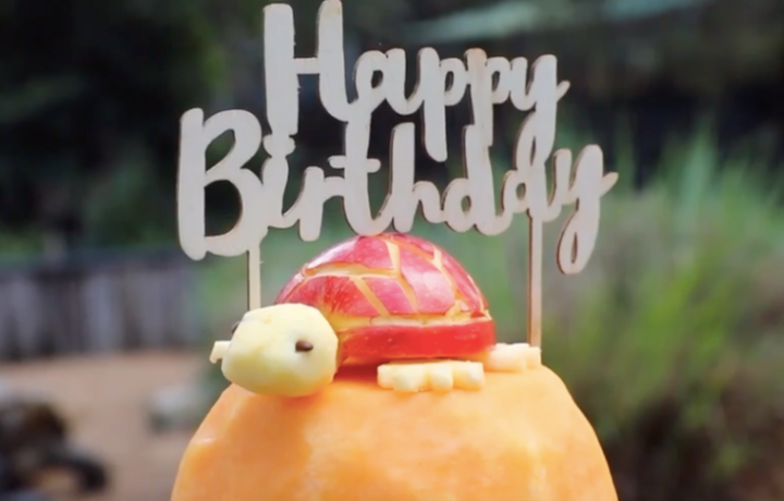 hugo tortoise birthday cake