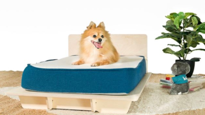Koala Made My Dog A Miniature Bed & If You Hassle ‘Em They Might Make Yours One Too