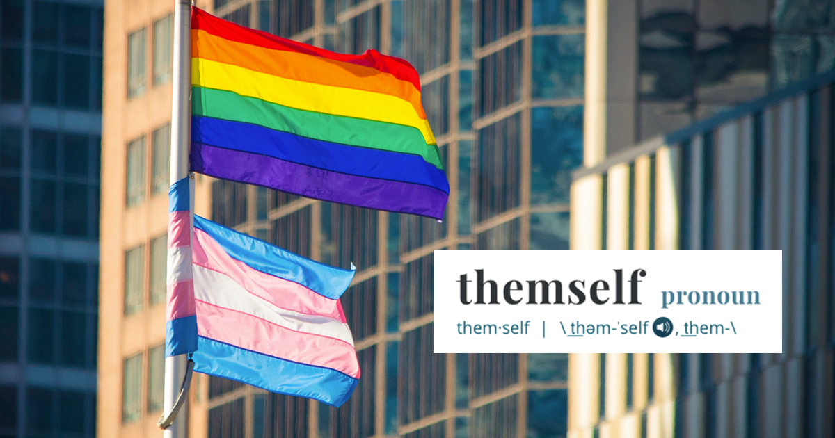 pride and trans flags with themself defintion