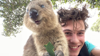 Here’s Shawn Mendes Taking A Selfie With A Happy Little Quokka To Cure Your Mondayitis