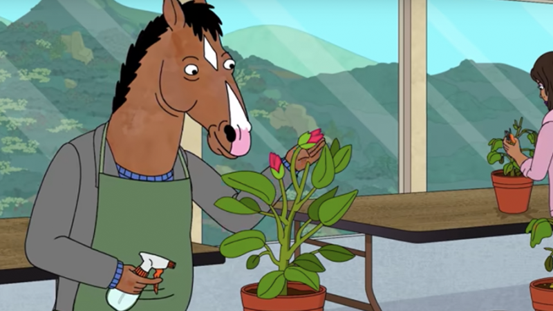 The First Half Of ‘BoJack Horseman’ S6 Hits Netflix Today, So There’s Tonight Sorted