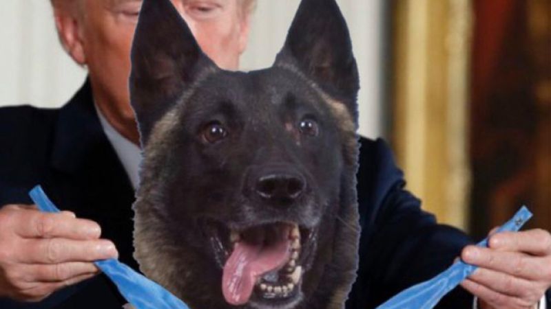 Donald Trump Has Awarded A Medal To A Photoshopped Dog Whose Name He Won’t Reveal